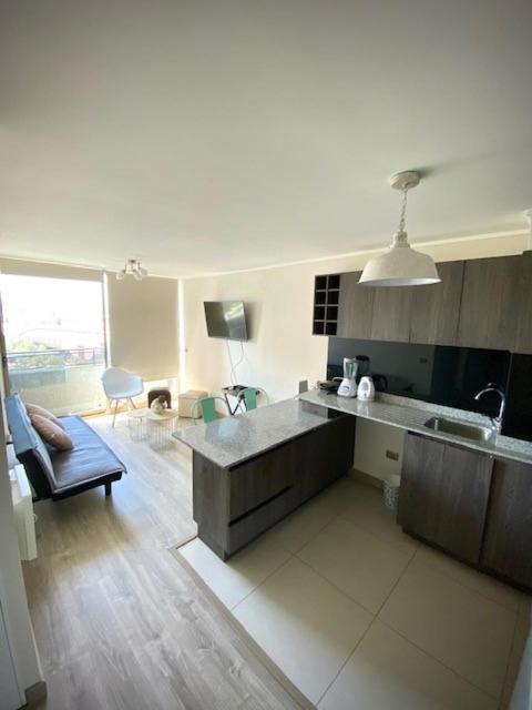 Loica Chile Apartment Santiago Exterior photo